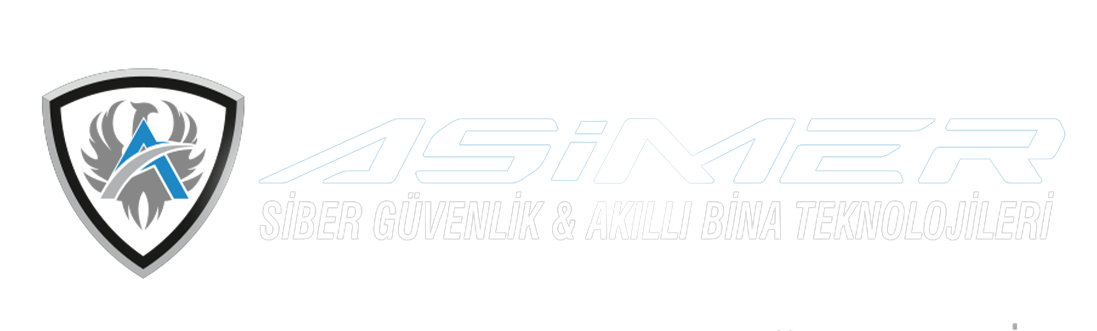 ASİMER SİBER GÜVENLİK 